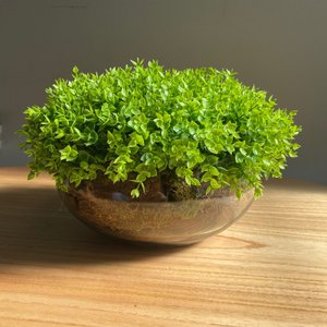 Arranjo Grande Centro de Mesa Vaso Incolor com Verdinho Decore Fácil Shop