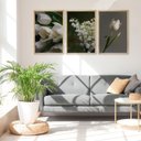 Ver imagem 2 de Kit 3 Quadros Decorativos para Sala Foto Flores Tulipa Branca Verde Natureza