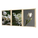 Ver imagem 1 de Kit 3 Quadros Decorativos para Sala Foto Flores Tulipa Branca Verde Natureza