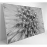 Quadro Dente De Leão Zoom 60x40 Cm Tecido Canvas - 7