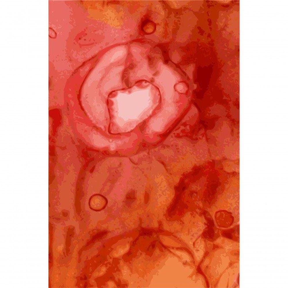 Kit com 3 Quadros Arte Abstrata em Lona Tamanho:60x90cm - 5