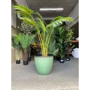 Ver imagem 6 de Vaso Para Plantas Grande Decorativo Sala Jardim Alto Brilho  e Leve 40cm (Liso/Verde-Piscina)