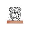 Escultura de Mesa, Buldogue Inglês 25x25cm - 1