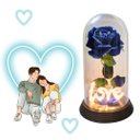 Ver imagem 6 de Luminária Love a Rosa Encantada Azul 28 Cm Presente de Natal Presente para Namorada Amor Lindo Bouti