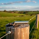 Ver imagem 3 de Eletrificador Solar Cercas Elétricas Grandes Propriedades com Bateria Zs20i + Kit Para-raios - Zebu