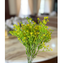 Ver imagem 4 de Flor Erva Doce Amarela