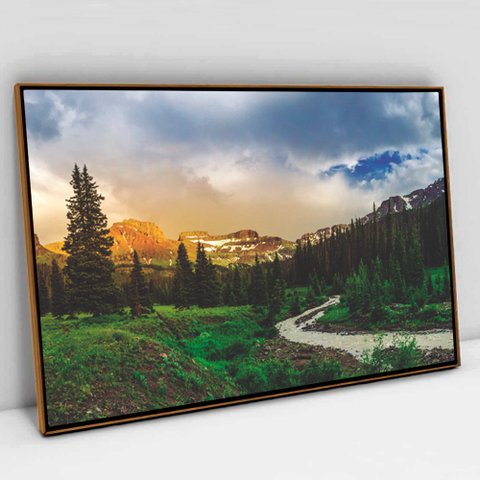 Quadro Decorativo Natureza em tela Canvas TACOLADO PAPEL DE PAREDE Moldura Flutuante 4,5cm Freijó 12