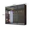 Guarda Roupa Casal 274cm 3 Portas Reflecta com Led 100% Mdf Cor:preto - 3