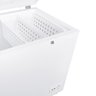 Freezer e Conservador Horizontal Eos 550 Litros Ecogelo Efh560xx 110v - 5