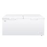 Freezer e Conservador Horizontal Eos 550 Litros Ecogelo Efh560xx 110v - 1