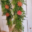 Ver imagem 4 de Fita para Porta com Verdes e Suculentas 2.12x28