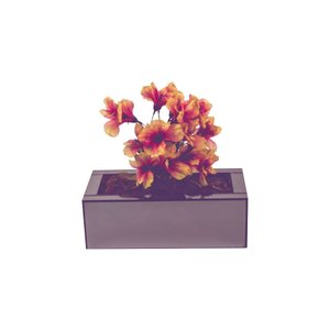 Vaso Retangular Planta Espelho Fumê Luxo