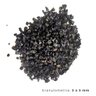 Substrato Basalto Black Aquários e Jardins N1 Combo 5x 1kg - 6