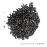 Substrato Basalto Black Aquários e Jardins N1 Combo 5x 1kg - 8