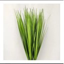 Ver imagem 5 de Capim Verde Folhagem Toque Real 60cm Grande Planta 10 Buque