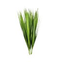 Ver imagem 1 de Capim Verde Folhagem Toque Real 60cm Grande Planta 10 Buque