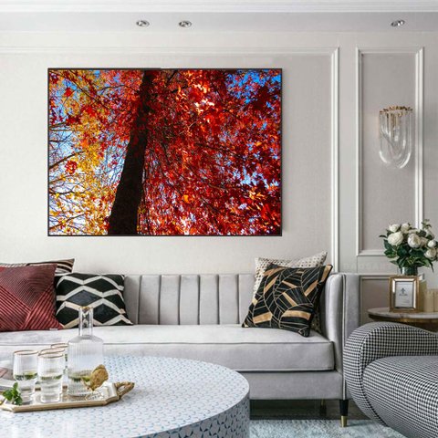 Quadro Canvas Arvore do Outono 50x70