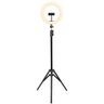 Kit Ring Light Led 26cm 10 Polegadas com Tripe 1,65 Metros e Suporte para Celular Ate 8" - Rl26 - 2
