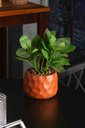 Ver imagem 3 de Cachepot de Cimento com Planta Artificial Prisma Marrom 11cm x 22cm | Casa Del Grande