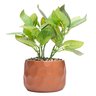 Cachepot de Cimento com Planta Artificial Prisma Marrom 11cm X 22cm - 2