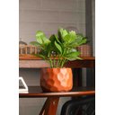 Ver imagem 4 de Cachepot de Cimento com Planta Artificial Prisma Marrom 11cm X 22cm