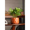 Cachepot de Cimento com Planta Artificial Prisma Marrom 11cm X 22cm - 4