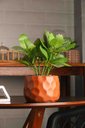 Ver imagem 4 de Cachepot de Cimento com Planta Artificial Prisma Marrom 11cm x 22cm | Casa Del Grande