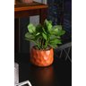 Cachepot de Cimento com Planta Artificial Prisma Marrom 11cm X 22cm - 3