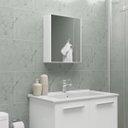 Ver imagem 7 de Armário Banheiro Espelheira Sobrepor Branco | 31,9x9,4x35,8cm | 01 Porta | Astra