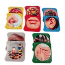 Ver imagem 2 de Jogo Associação Dos Sentidos em Braile 5 Pares