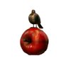 Maçã Com Pássaro Benjamin Resina - 1