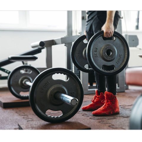 Suporte Anilhas Musculação Expositor