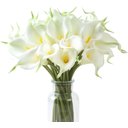 Ver imagem 1 de 10 Flores Realistas Buquê de Noivas Copo de Leite Branco