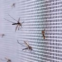 Ver imagem 4 de Tela Mosquiteiro 2 Metros Mosquito Pernilongo Segurança Janela Basculante Mosca Barata Inseto