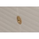 Ver imagem 4 de Colchão Solteiro Ortobom Molas Hotelaria Multilastic Orthotel Super Luxo Pillow (88x188x30) -
