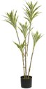 Ver imagem 1 de Planta Artificial Arvore Dracena Reflexa C/pote X59 Verde Creme 1,12cm