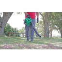 Ver imagem 6 de Brudden Eb-260f Soprador de Folhas À Gasolina Motor 2t 26cc