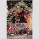 Ver imagem 2 de Quadro Bike Cidade E Flor Tela No Chassi 45X30Cm