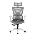 Ver imagem 5 de Cadeira Escritório Nr-17 Presidente BLM162 Nexo Blume Tela Mesh Branco Base Rodizio PU