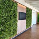 Ver imagem 4 de Kit 20 Quadros Verdes Artificiais Premium para Parede Interna e Jardim Vertical
