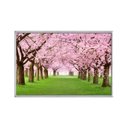 Ver imagem 1 de Quadro Decorativo - Cerejeiras Rosas no Parque Flnt020 - Vidro com Impressão Uv - 60x40cm