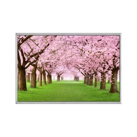Quadro Decorativo - Cerejeiras Rosas no Parque Flnt020 - Vidro com Impressão Uv - 60x40cm