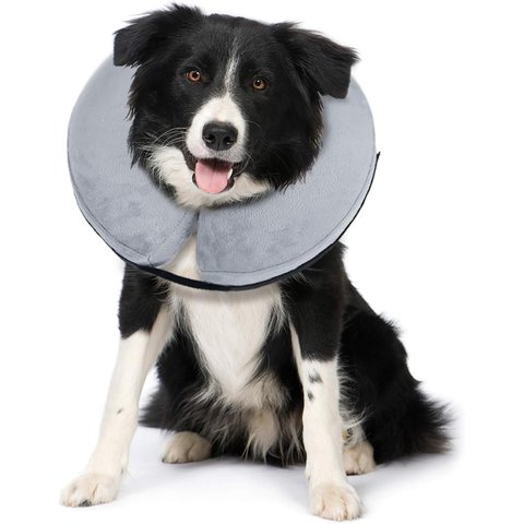 Bencmate Coleira Inflável Protetora para Pets Cinza (m)