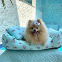 Ver mais imagens de Cama para Cachorro Gelato - Mr. Puppy