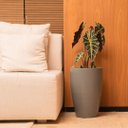 Ver imagem 2 de Vaso Cone Liso 45 Cinza Claro