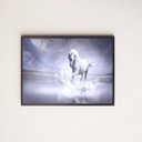 Ver imagem 1 de Quadro Decorativo Cavalo Branco 45x34cm - com vidro:Madeira preta