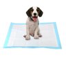 Tapete Higienico Cachorro Pet Cao 60x90 20 Unidades Absorvente Animal de Estimaçao Treinamento Adest - 4