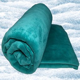 Cobertor Manta Microfibra Aconchego Padrão - Verde Top Chick - 2