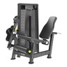 Cadeira Extensora Kikos Pro Alfa 140kg Cas71 - 1