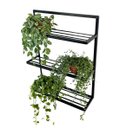 Ver imagem 1 de Prateleira Decorativa Parede Jardim suporte Plantas Ferro Artesanal jardim vertical MINAS ARTE PRÓPR